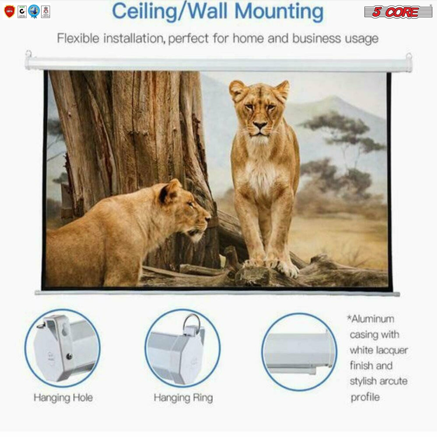 Retractable Projector Screen Projection - 100 inch - The Big Screen Store